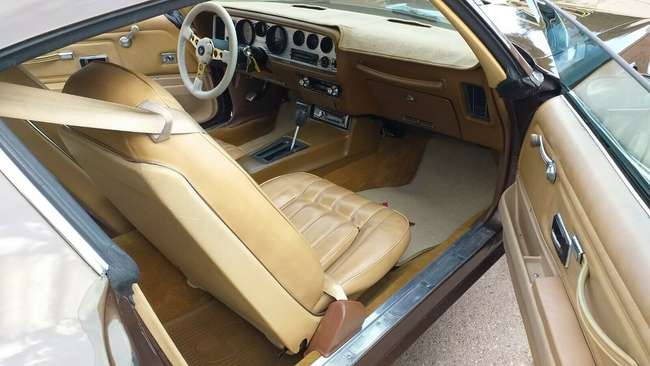 1977 Pontiac Firebird Trans Am 400 Ci-Auction Lot