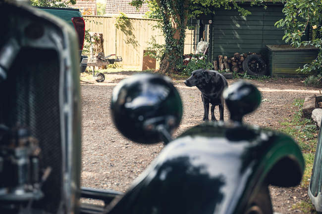 1929 Riley 9 Monaco Fabric Saloon-Auction Lot