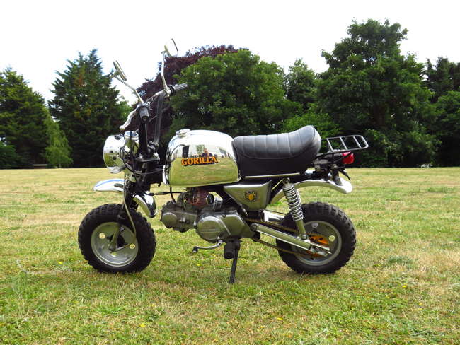 1979 Honda Z50J Gorilla 49cc-Sold