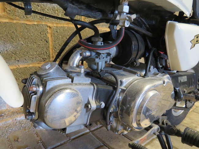 1992 Honda Z50J Gorilla 49cc-Auction Lot