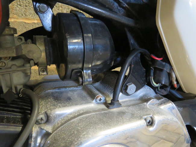 1992 Honda Z50J Gorilla 49cc-Auction Lot