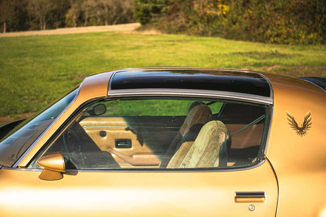 1978 Pontiac Firebird Trans Am T-Top -Auction Lot