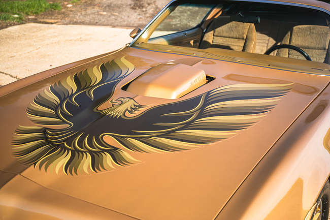 1978 Pontiac Firebird Trans Am T-Top -Auction Lot