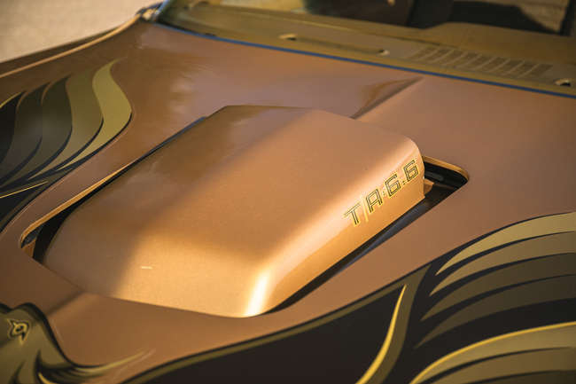 1978 Pontiac Firebird Trans Am T-Top -Auction Lot