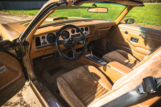 1978 Pontiac Firebird Trans Am T-Top -Auction Lot