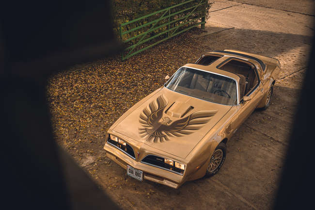 1978 Pontiac Firebird Trans Am T-Top -Auction Lot