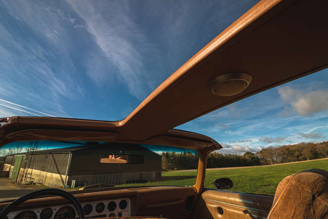 1978 Pontiac Firebird Trans Am T-Top -Auction Lot
