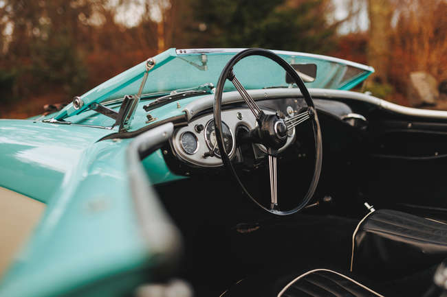1956 Austin Healey 100M BN2 Factory-built-Auction Lot