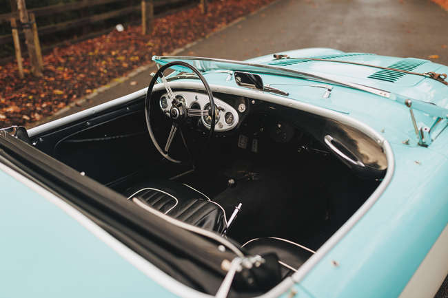1956 Austin Healey 100M BN2 Factory-built-Auction Lot