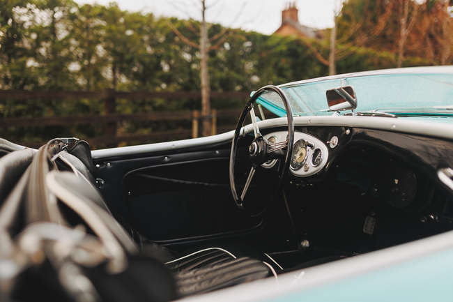 1956 Austin Healey 100M BN2 Factory-built-Auction Lot