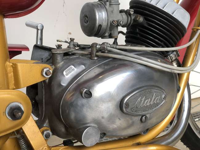 1964 Atala Freccia D'oro 49cc-Sold