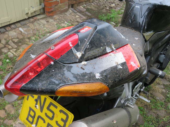 2003 Aprilia RSV 1000R Factory 998cc-Sold