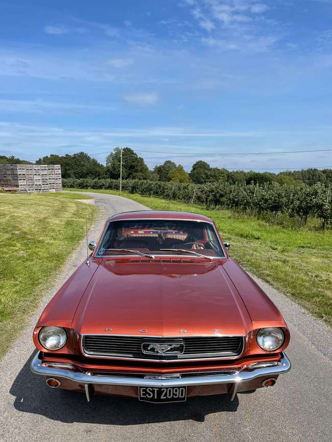 1966 Ford Mustang 289 Fastback-Auction Lot