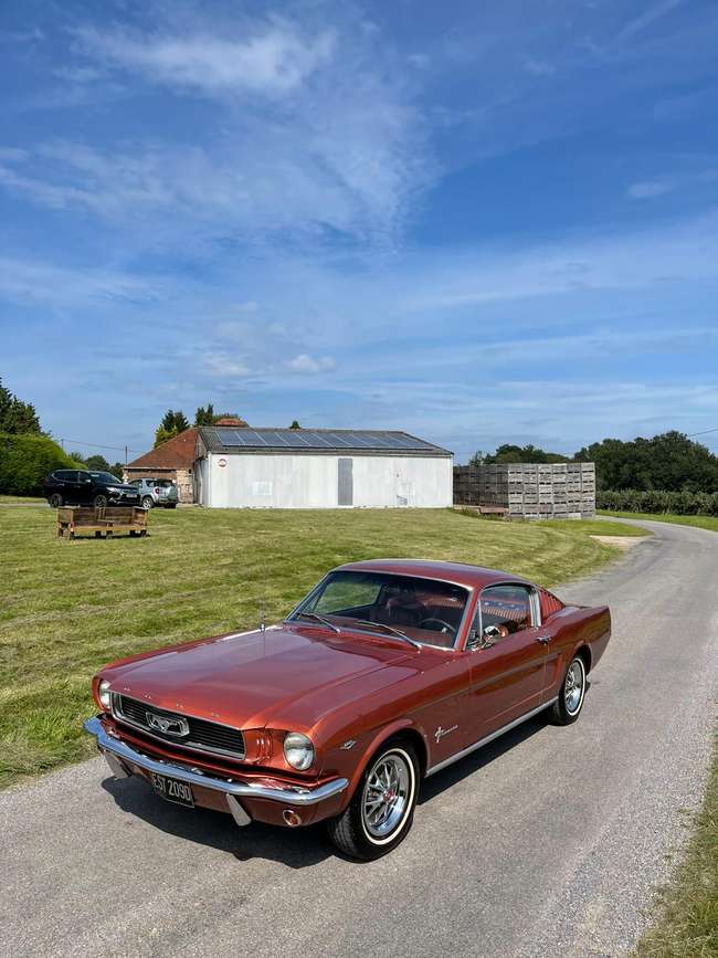 1966 Ford Mustang 289 Fastback-Auction Lot
