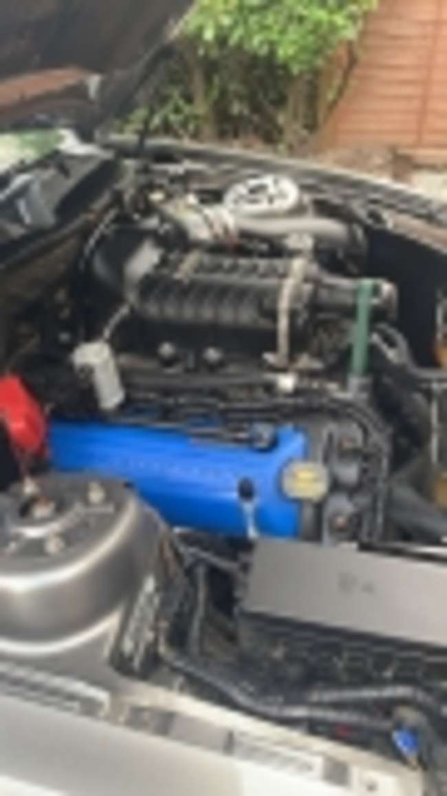 2011 Ford Mustang Roush 'Shamal'-Sold