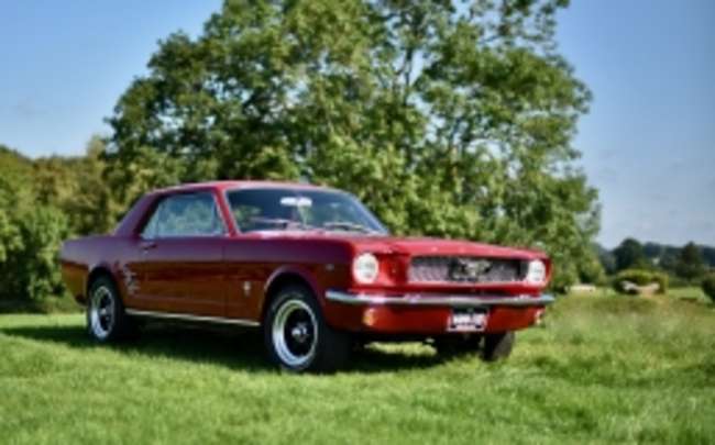 1967 Ford Mustang 289 V8 'Notchback'-Auction Lot