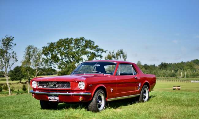 1967 Ford Mustang 289 V8 'Notchback'-Auction Lot