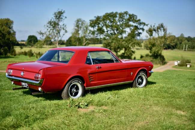 1967 Ford Mustang 289 V8 'Notchback'-Auction Lot