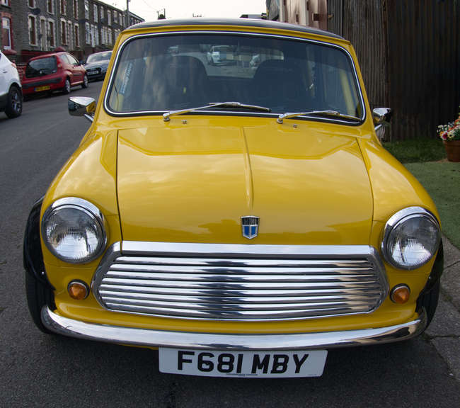 1988 Mini Mayfair Custom-Sold