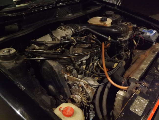 1983 Volkswagen Golf GTi-Sold