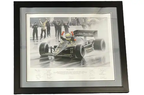 'Birth of a Legend' Ayrton Senna by Robert Tomlin. Team-Sign-For Sale