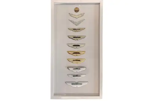 A Fascinating Collection of Aston Martin Bonnet Badges Throu-For Sale