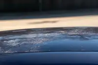 2004 TVR Tuscan Speed Six Targa-For Sale