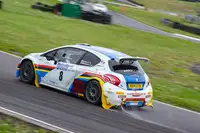 2014 Peugeot 208 R5 T16 E2-For Sale