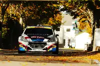 2014 Peugeot 208 R5 T16 E2-For Sale