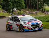 2014 Peugeot 208 R5 T16 E2-For Sale