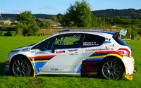 2014 Peugeot 208 R5 T16 E2-For Sale