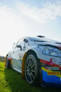 2014 Peugeot 208 R5 T16 E2-For Sale