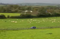 2003 Ford Focus RS Mk1-For Sale