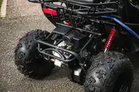 2023 Polaris Hammerhead GTS 150 Buggy to US-Specification* †