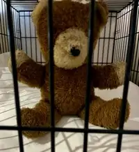 Interesting Collection of Reggie Kray Memorabilia including Correspondence, a Painting and a Teddy Bear