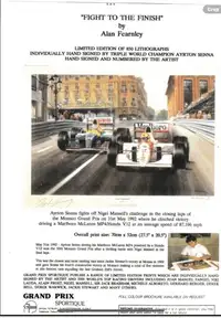 Ayrton Senna-Signed 'Fight to the Finish' by Alan Fearnley --For Sale
