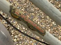 c.1950 Le Chemineau Ladies Cyclolux -Sold
