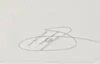 Stirling Moss 'My Last Race' By Alan Stammers-Sold