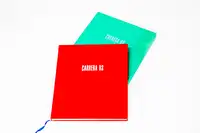 Porsche Carrera RS: The Definitive Guide-Sold