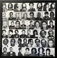 Mugshots of Celebrities Arrested in Los Angeles-Sold