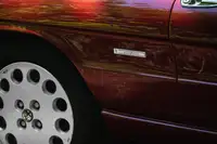 The 