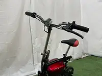 Sportee 24V Electric Mini Motorbike-Sold
