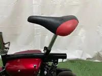 Sportee 24V Electric Mini Motorbike-Sold