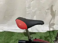 Sportee 24V Electric Mini Motorbike-Sold