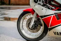1985 Yamaha TZ250N 249cc-For Sale