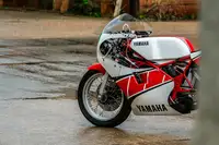 1985 Yamaha TZ250N 249cc-For Sale