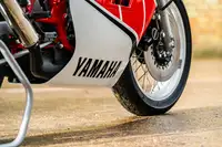 1985 Yamaha TZ250N 249cc-For Sale