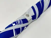 Pair of Race Meeting Hospitality Umbrellas-Sold