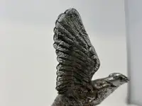 Vintage 'Winged Eagle' Radiator Mascot-Sold