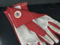 Diana, Princess of Wales Worn Nomex Racing Gloves-Sold